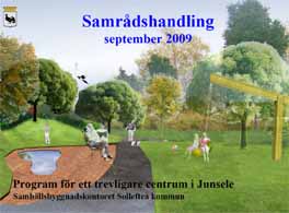Samr&aring;d om Junsele centrum.